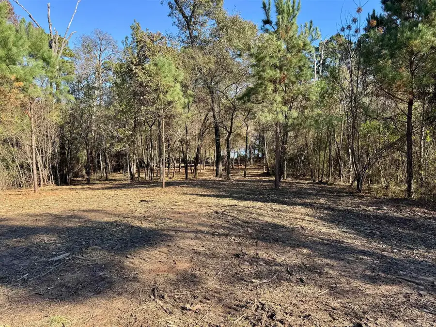 0000 Cr 3202, Chandler, TX 75758 - Image #3