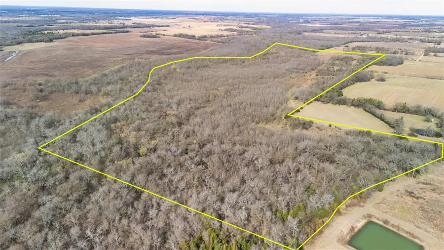 Tract 9 County Road 2158, Cooper, TX 75432 - Image #2