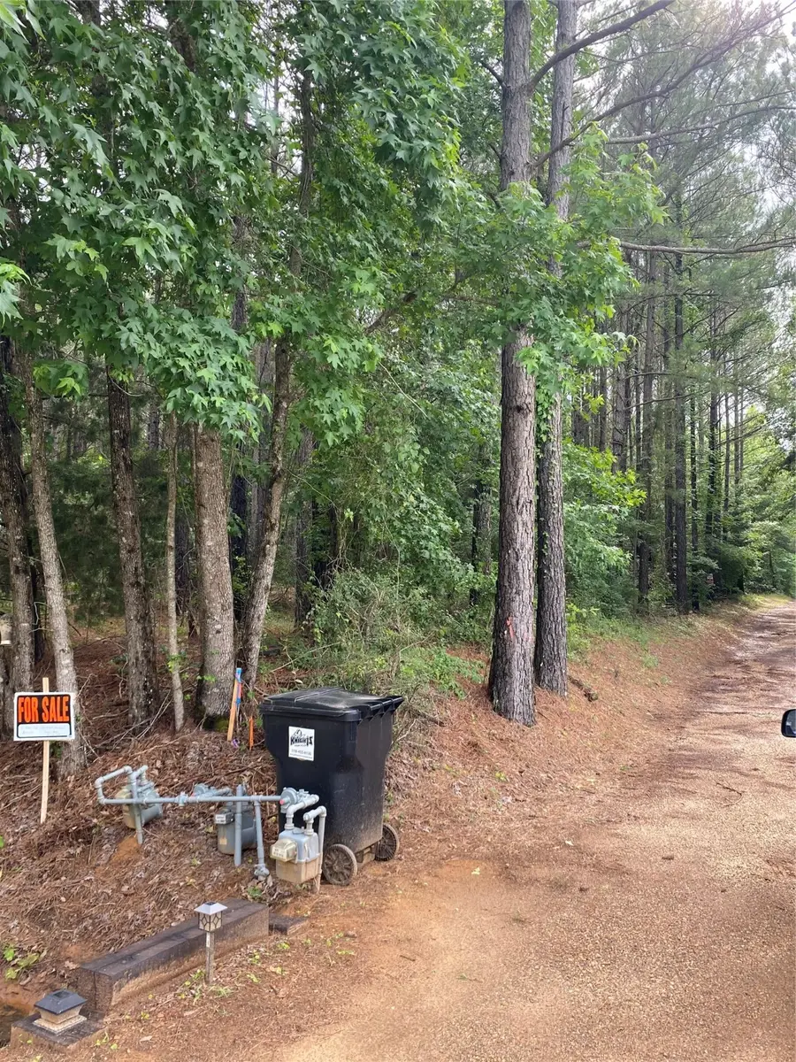 000 Old Plain Dealing Rd, Plain Dealing, LA 71064 - Image #3