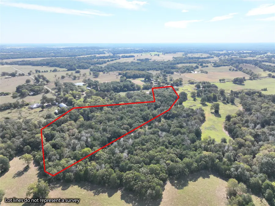 9 Acres County Rd 471, Teague, TX 75860 - Image #3