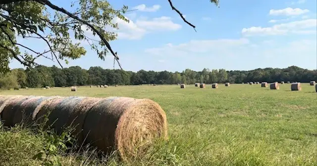 TBD Jay Road, Van Alstyne, TX 75495 - Image #3