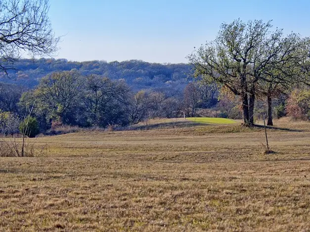 141 Diamond Oaks Drive, Nocona, TX 76255 - Image #2