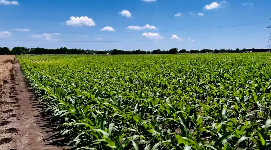 9775 County Road 505, Alvarado, TX 76009 - Image #2