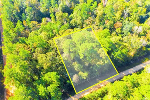 Lot 500-502 Patsy Cline Road, Livingston, TX 77351