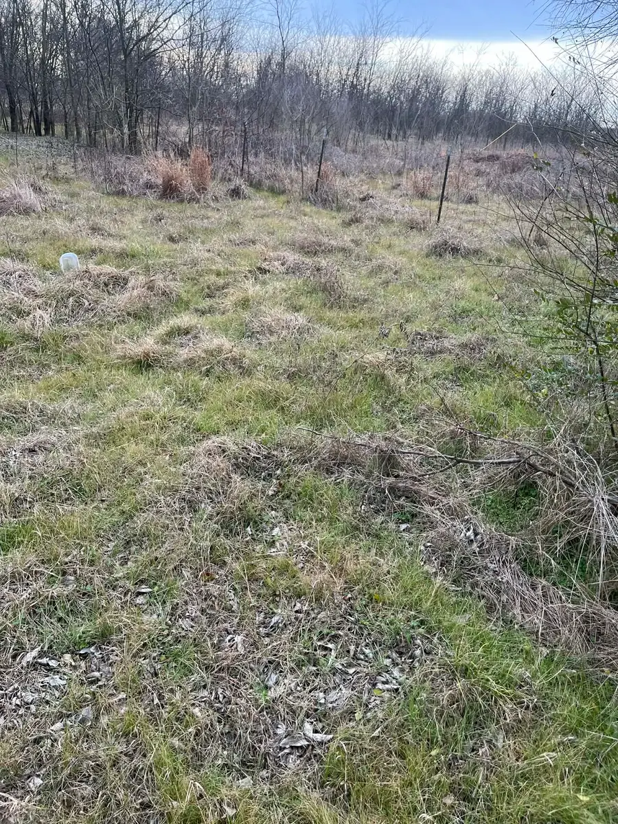 TBD Cr 4762, Sulphur Springs, TX 75482 - #3