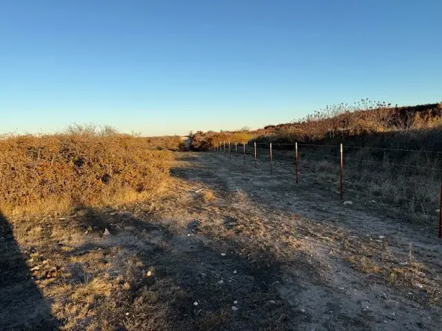 TBD County Road 436, Rising Star, TX 76471 - Image #3