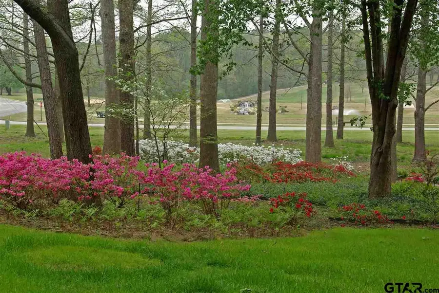 547 Dogwood Lane, Hideaway, TX 75771 - Image #3