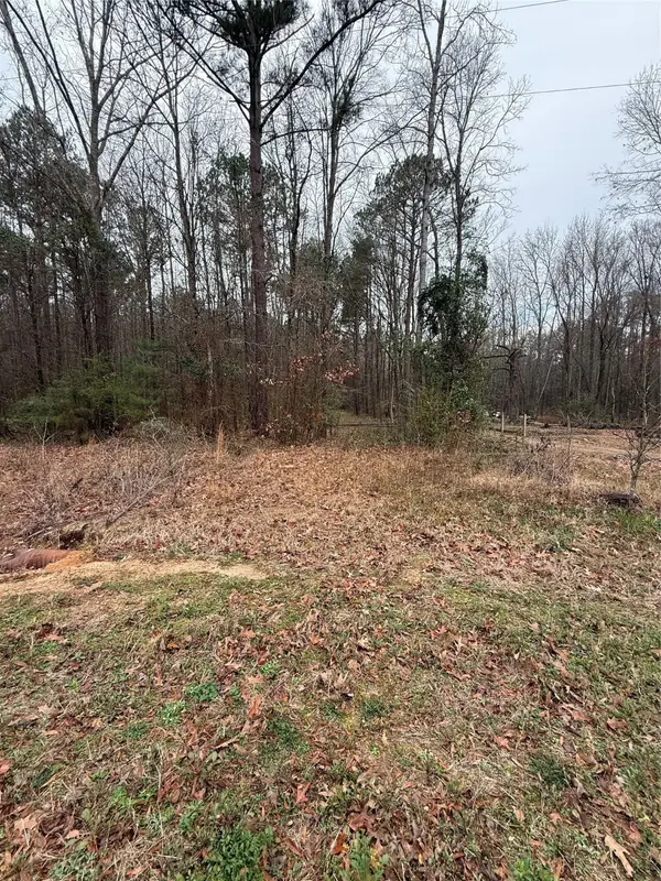 0 Highway 3, Plain Dealing, LA 71064