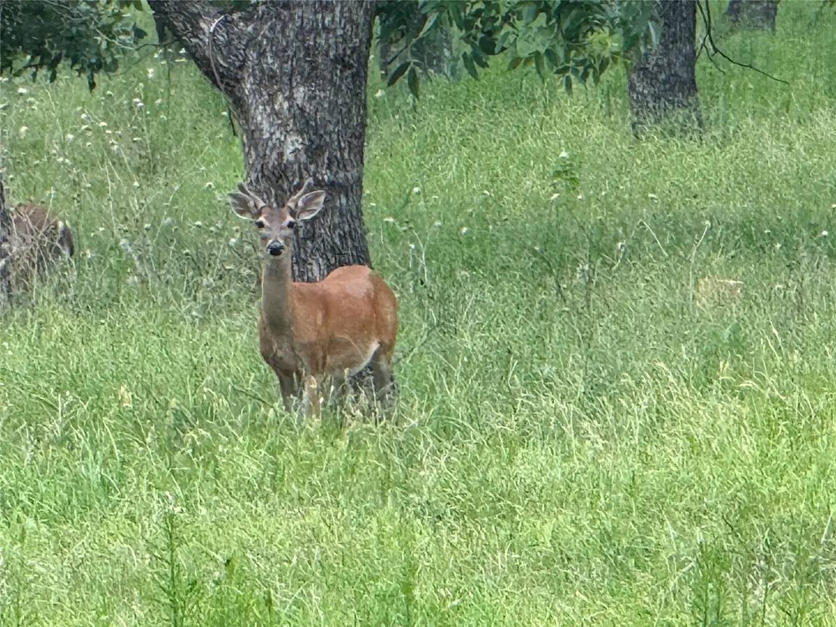 3140 E Landings S, Granbury, TX 76049 - #1