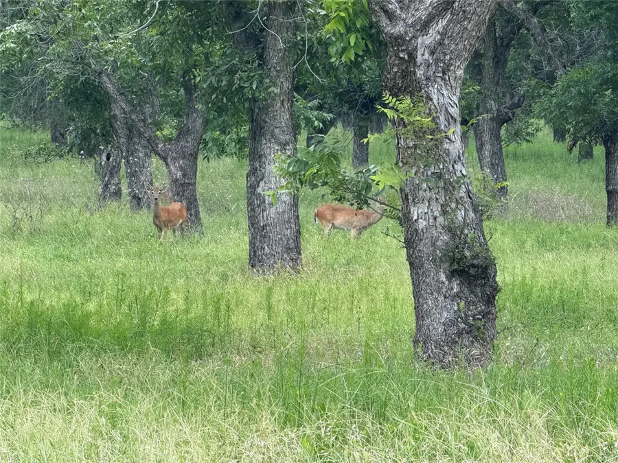 3140 E Landings S, Granbury, TX 76049 - #2