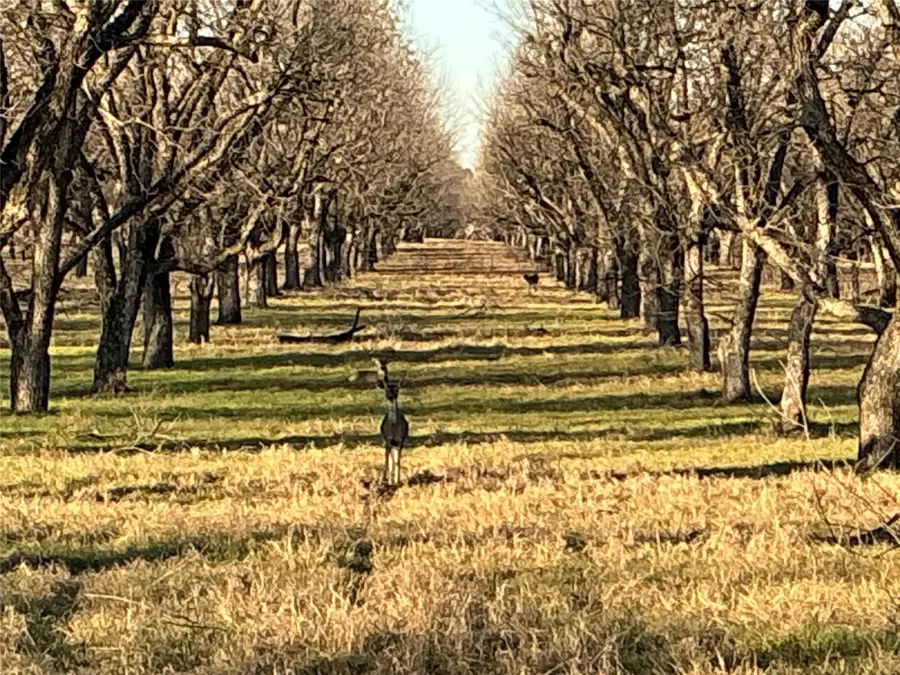 3140 E Landings S, Granbury, TX 76049 - #3