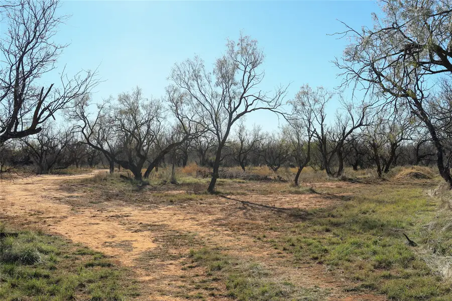 TBD 42 County Road 318, Abilene, TX 79606 - Image #3