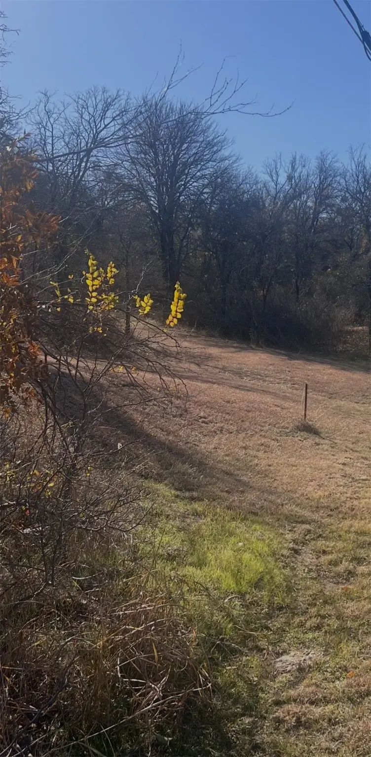 2 Lots Lanai Drive, Runaway Bay, TX 76426 - Image #3