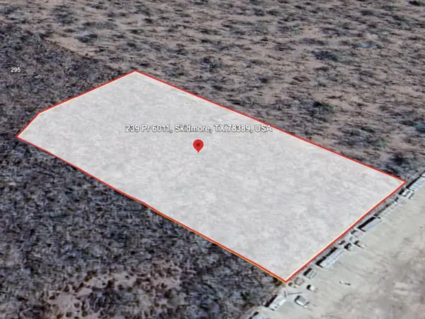 239 Private Road #6011, Skidmore, TX 78389