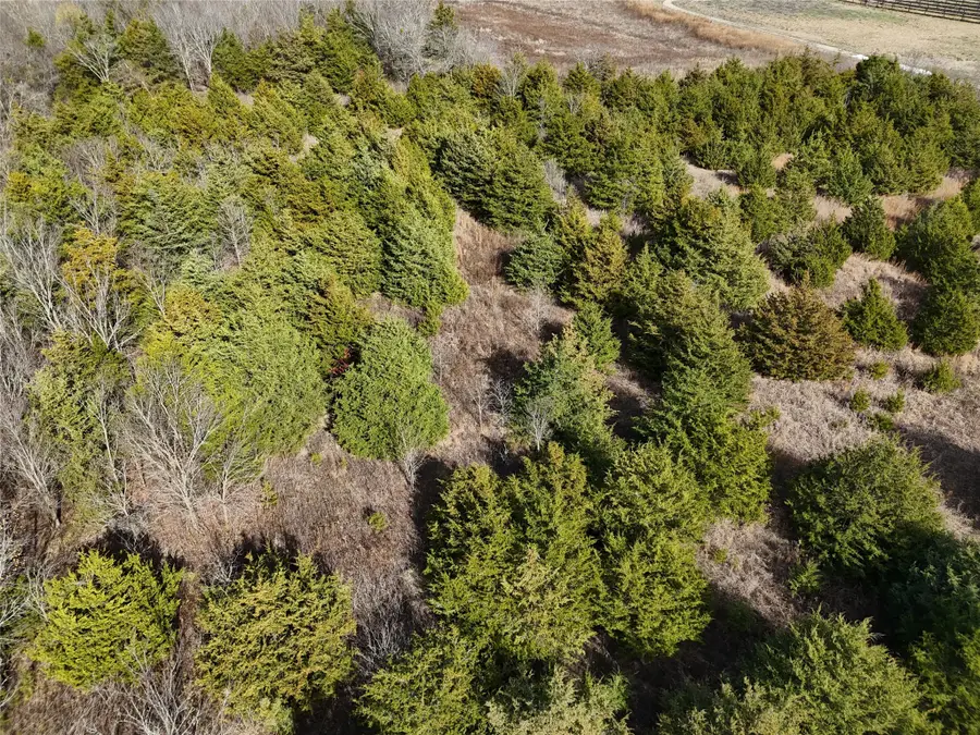 1300 Fm 2675, Enloe, TX 75432 - Image #2