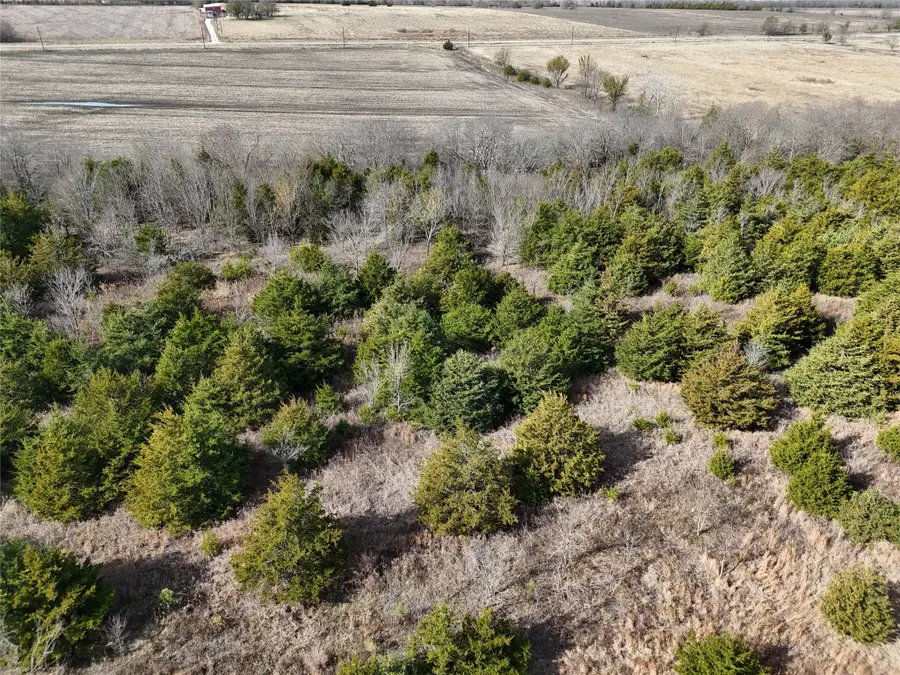 1300 Fm 2675, Enloe, TX 75432 - Image #3