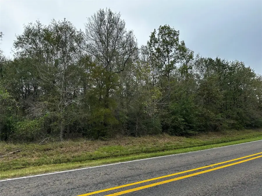 000 Bankside, Livingston, TX 77351 - Image #3