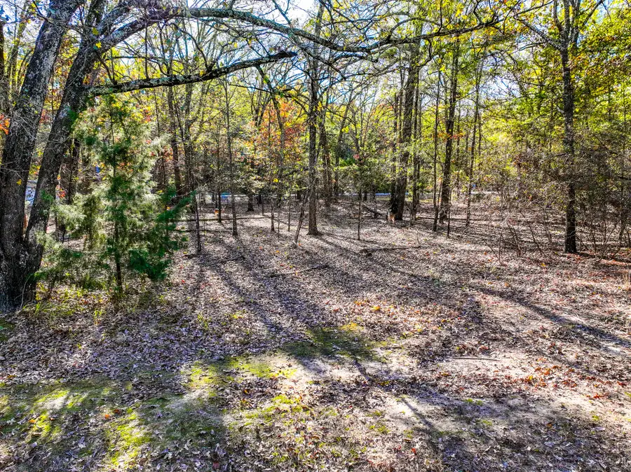 Lot 17 Sweet Gum Lane, Mount Vernon, TX 75457 - Image #3