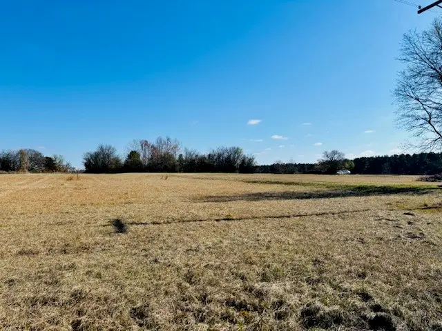 954 County Road 1813, Yantis, TX 75773 - Image #1