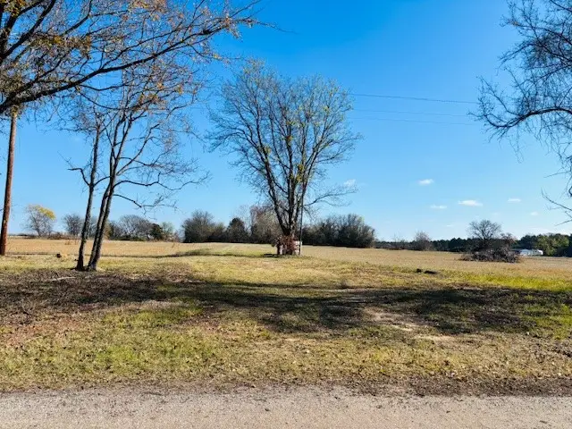 954 County Road 1813, Yantis, TX 75773 - Image #2