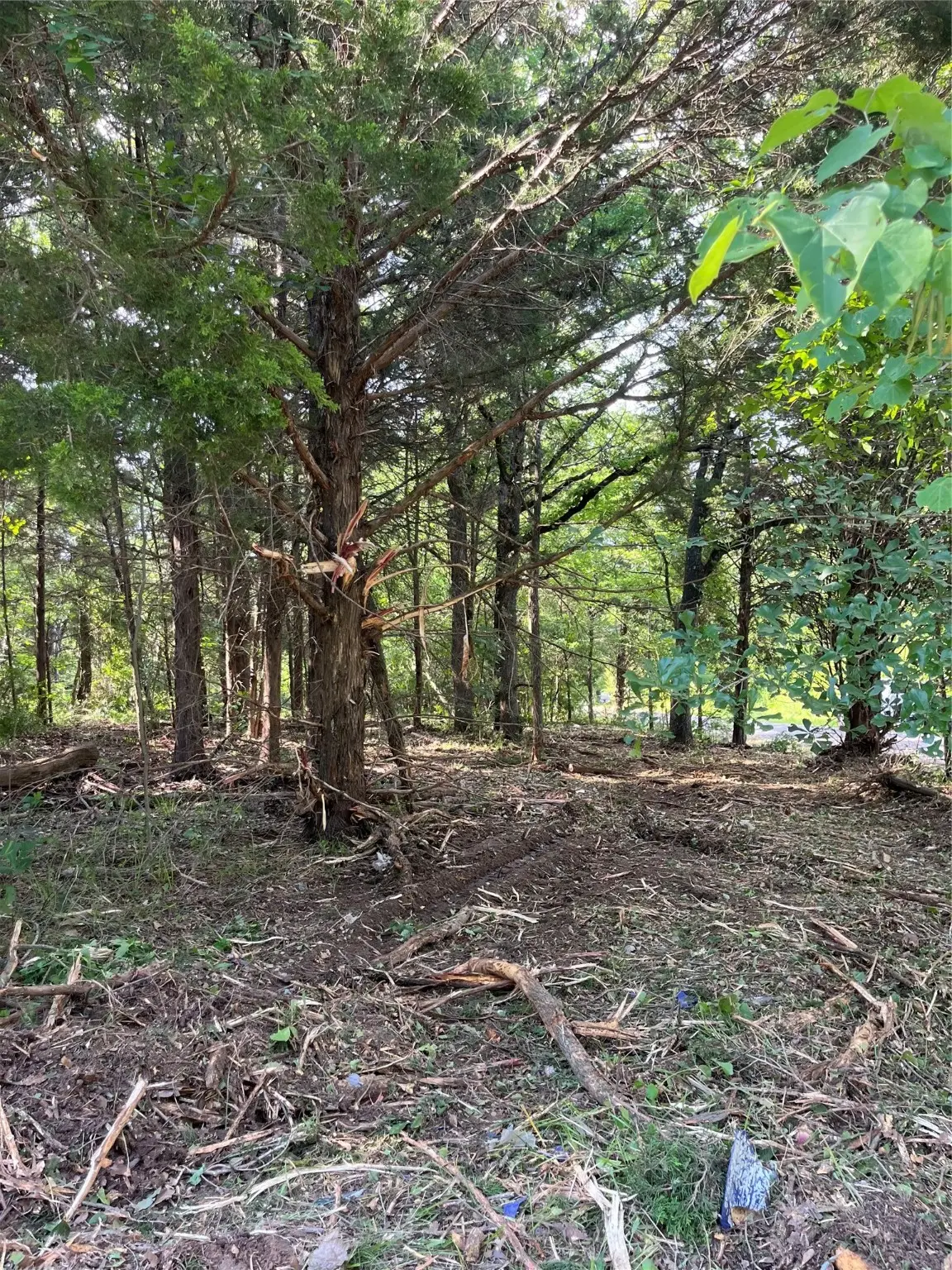 141 Eastern Hills Drive, Mabank, TX 75156 - Image #1