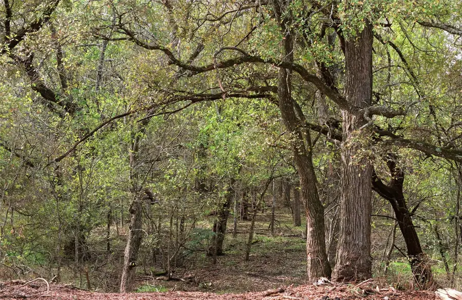 Tract 7, TBD County Road 3204, Abbott, TX 76621 - Image #3