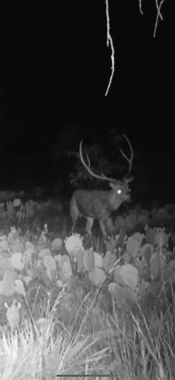 43 Cave Well Ranch, Menard, TX 76825