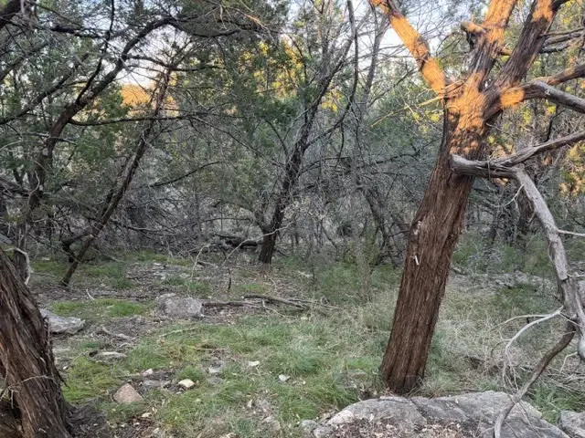 Lot 30 Glen Abbey Drive, Possum Kingdom Lake, TX 76449 - Image #3