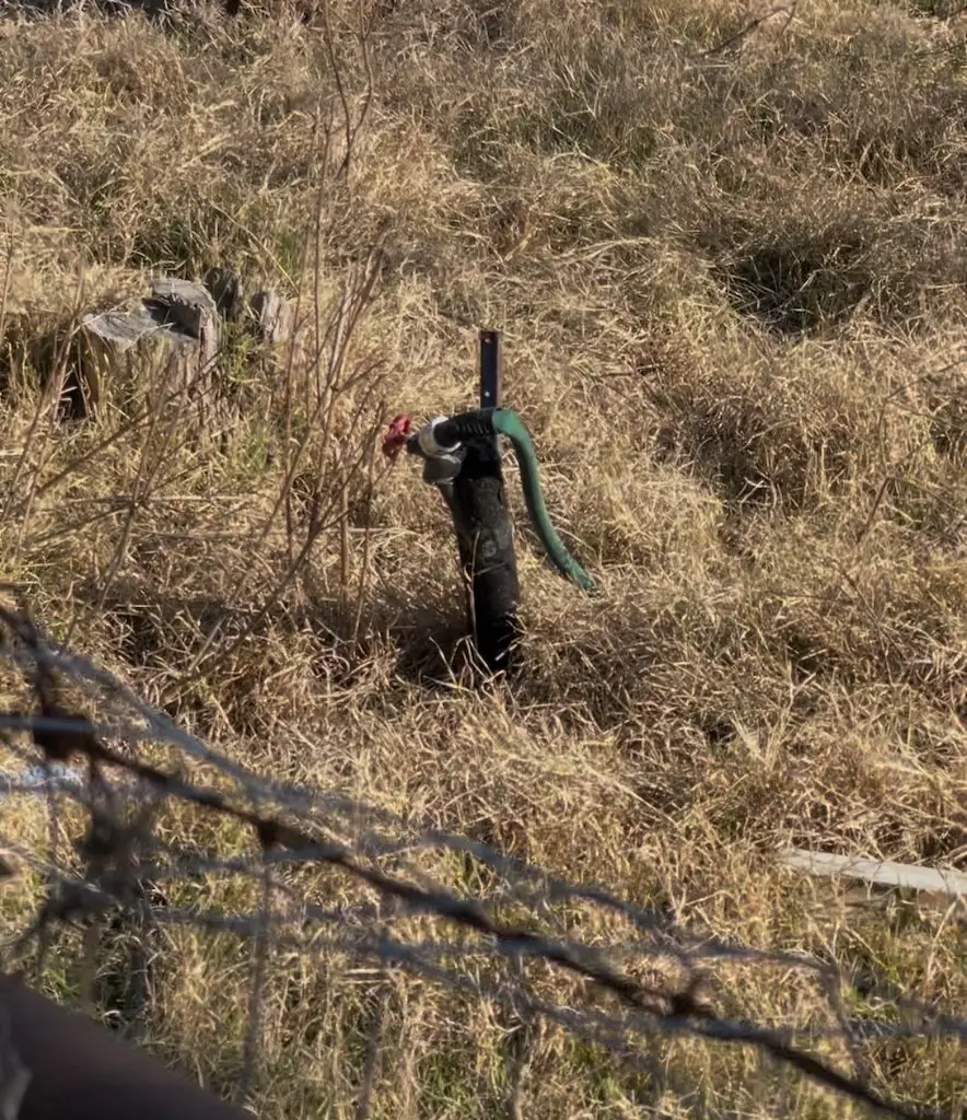 3175 County Road 1110, Corsicana, TX 75110 - Image #3