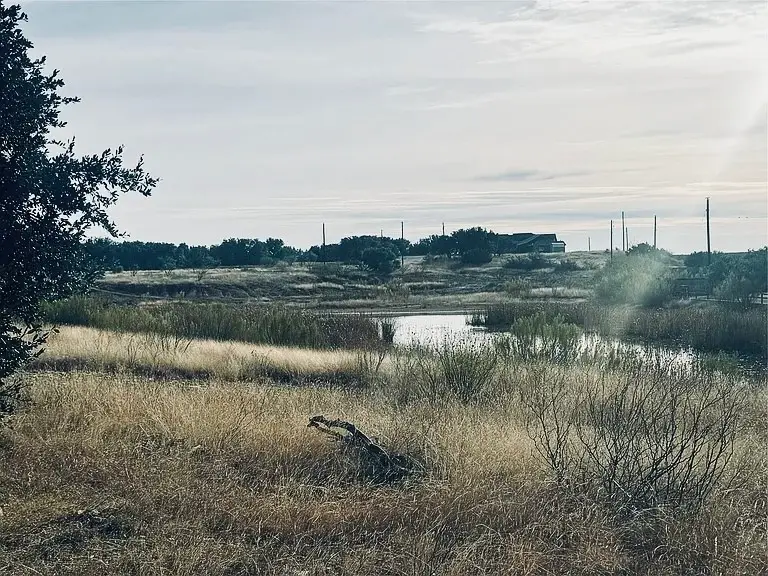 194 Willie B Drive, Brownwood, TX 76801 - Image #3