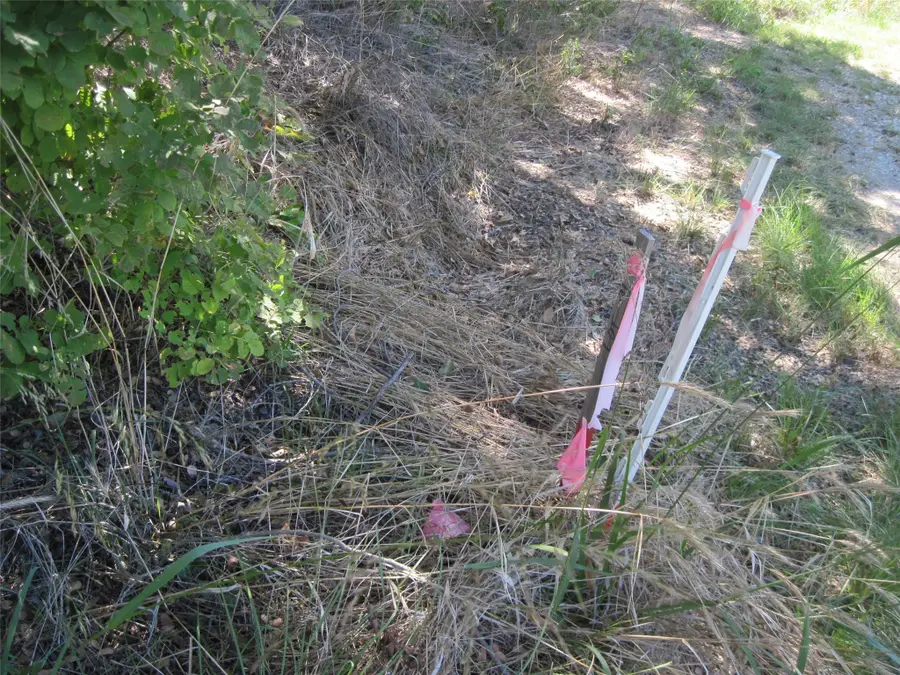 1119 Boot Trail Court, Granbury, TX 76048 - Image #3