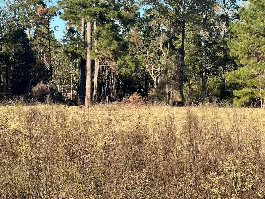 tbd Pr 1315, Centerville, TX 75833 - Image #2