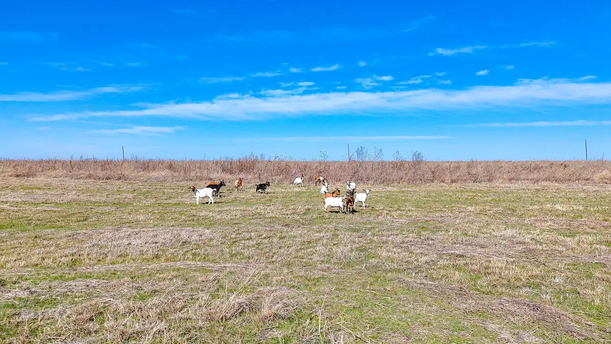 Lot 22 NW Private Road 1270a #Paso Robles, Corsicana, TX 75110 - Image #1