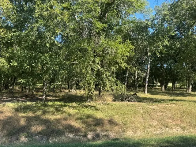 TBD Allie Court, Hudson Oaks, TX 76087 - Image #2