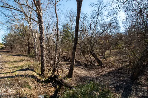 TBDlot1 County Road 2905, Dodd City, TX 75438