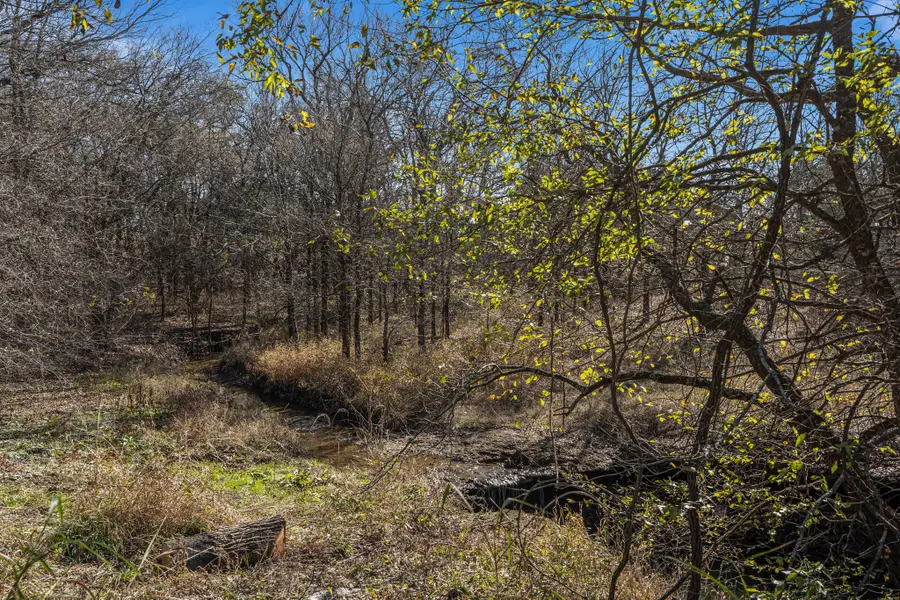 109 Falls Creek Lane, Gunter, TX 75058 - Image #3