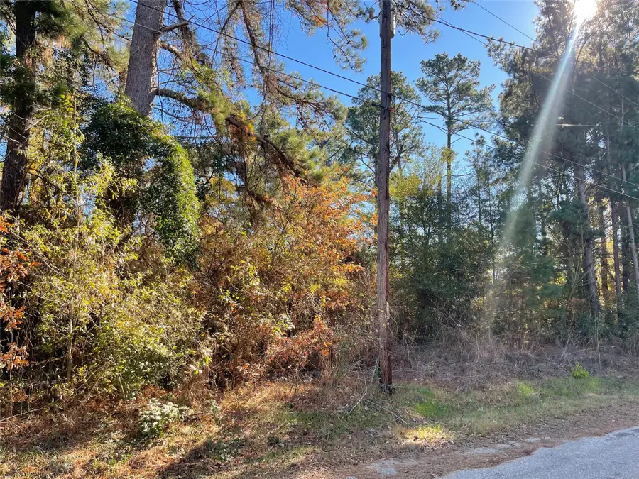 0 Philip Place, Frankston, TX 75763 - Image #3