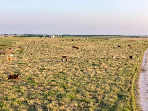 000 Fm 51 Road, Sanger, TX 76226