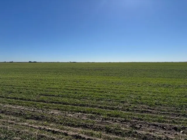 TBD Hwy 351 & Mesquite Ln, Abilene, TX 79601 - Image #2