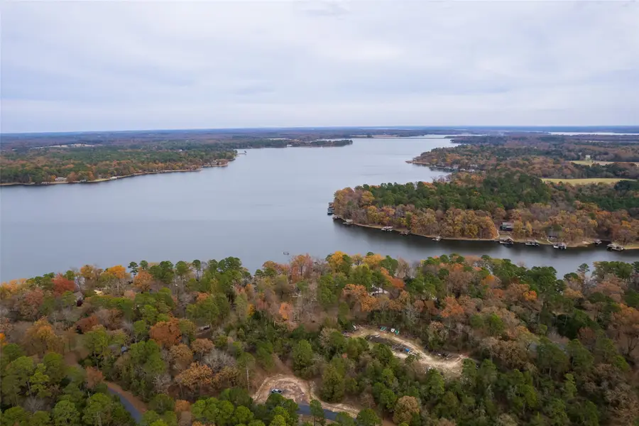 Lot 450 Charlya Drive, Scroggins, TX 75480 - Image #3