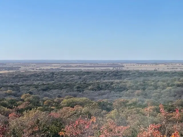 TBD Pecan Shell Rd, Desdemona, TX 76445 - Image #3