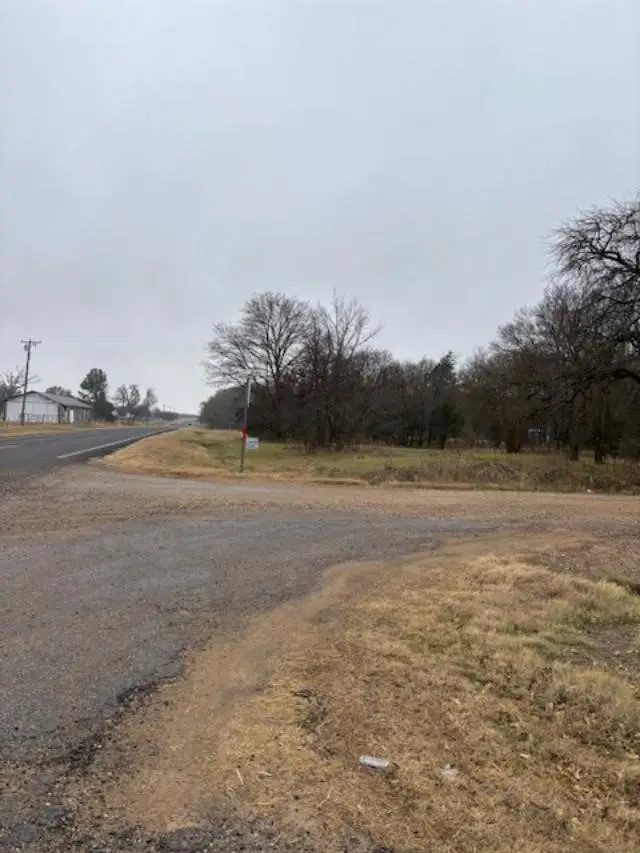 TBD Fm 273, Ivanhoe, TX 75447 - Image #2