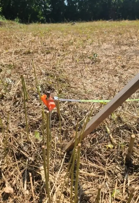 3218 Claibourne Boulevard, Dallas, TX 75212 - Image #2