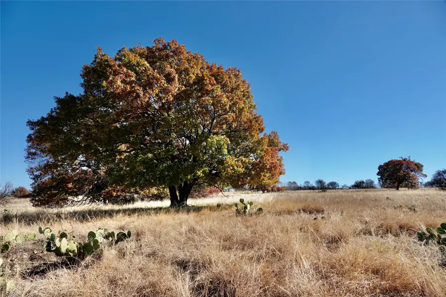 801 N Sh 16, Priddy, TX 76870 - Image #2