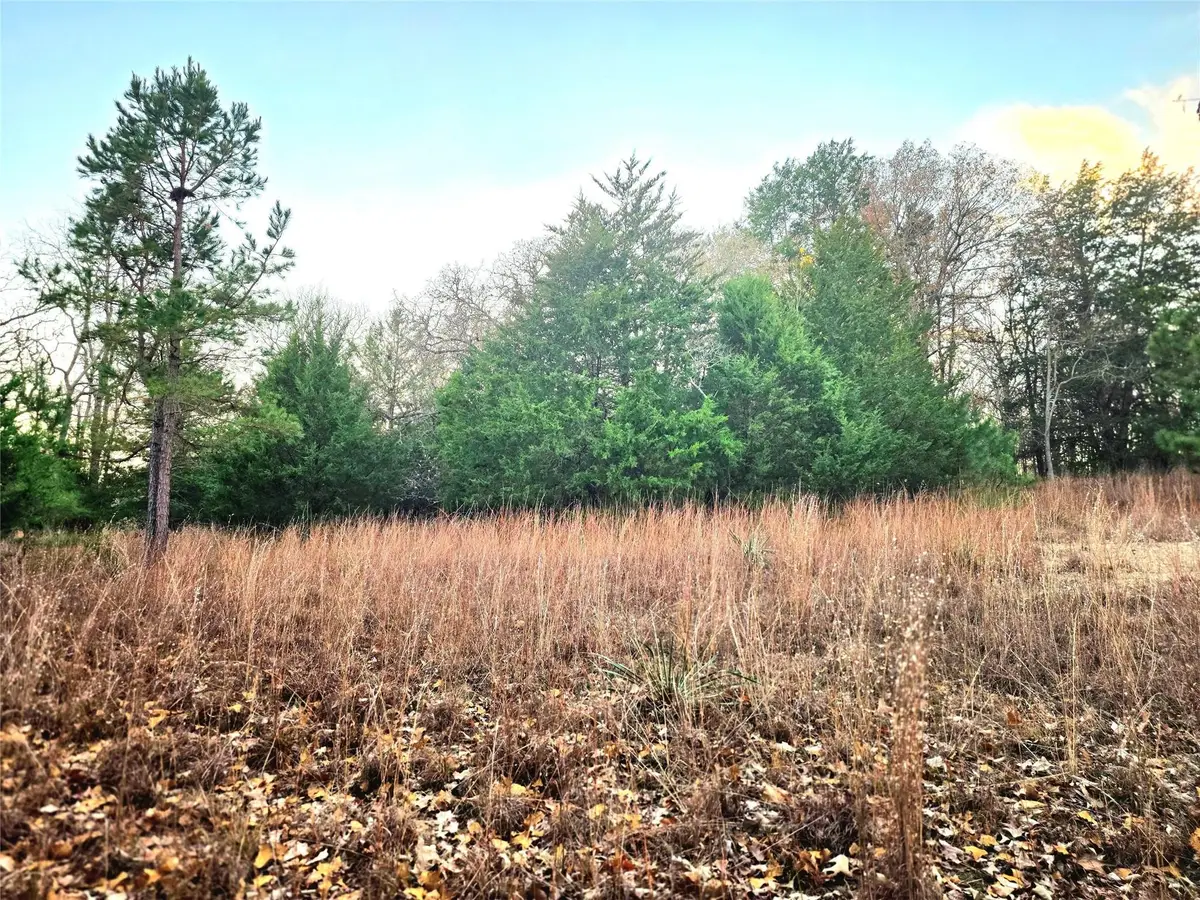 Lot 401 Mallard Way, Larue, TX 75770 - Image #1