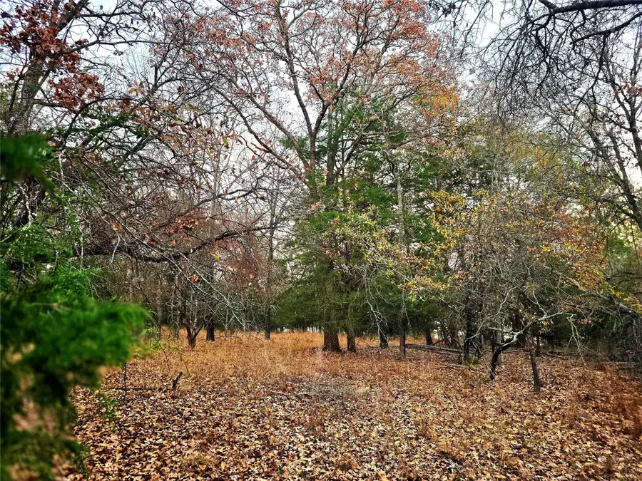 Lot 401 Mallard Way, Larue, TX 75770 - Image #3