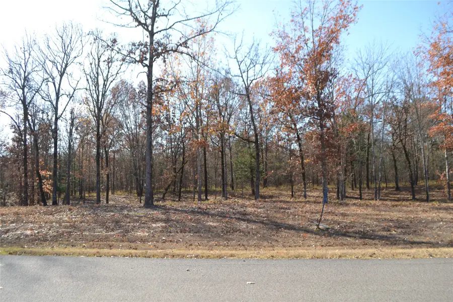 Lot 34 Angler Shores Drive, Yantis, TX 75497 - Image #3