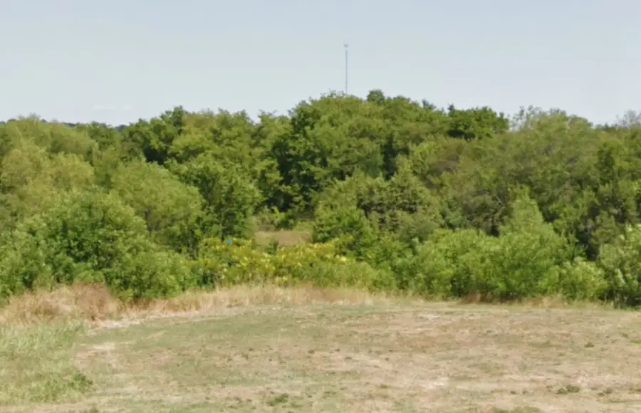 1004 Cove Meadow Court, Grand Prairie, TX 75104 - Image #2