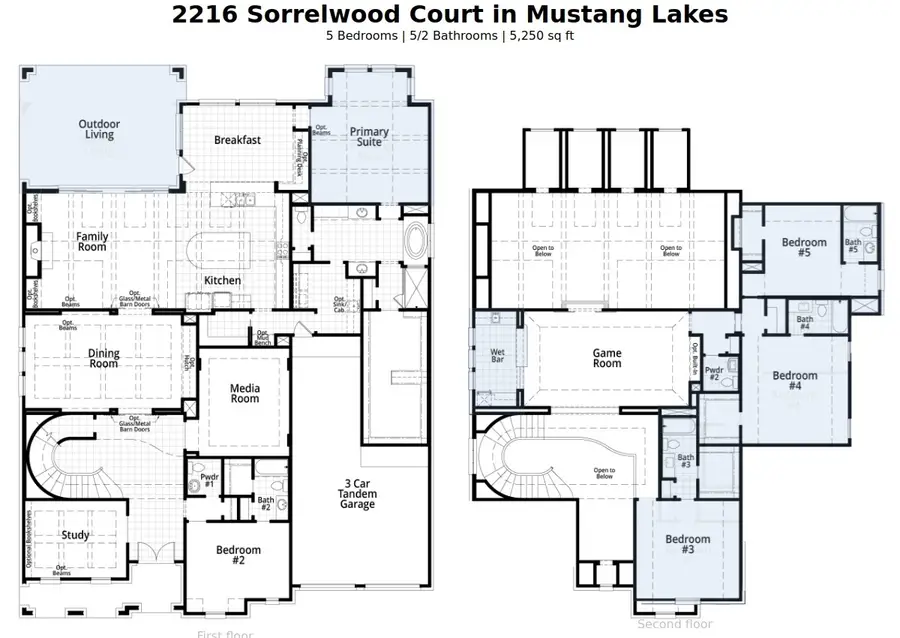 2216 Sorrelwood Court, Celina, TX 75009 - Image #2