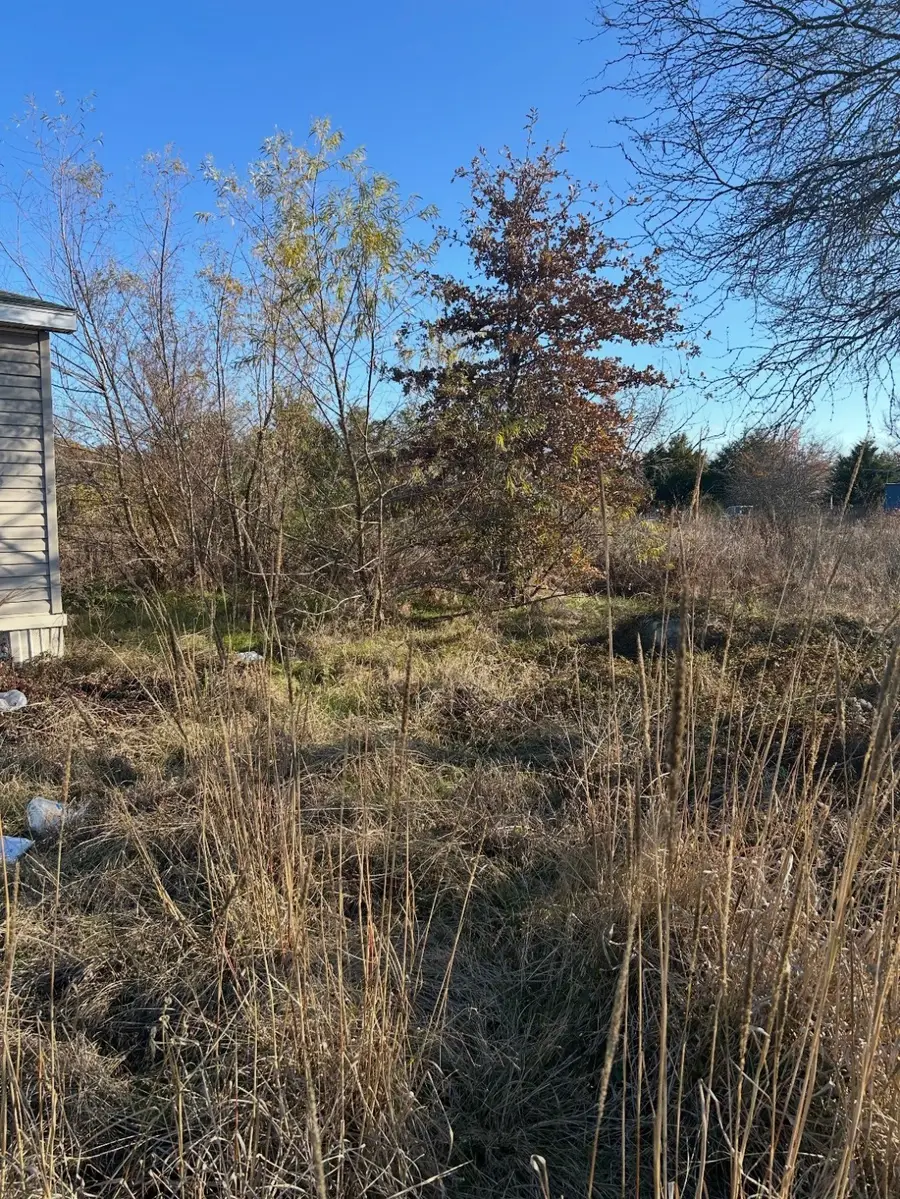 18041 Terrace Drive, Kemp, TX 75143 - #2